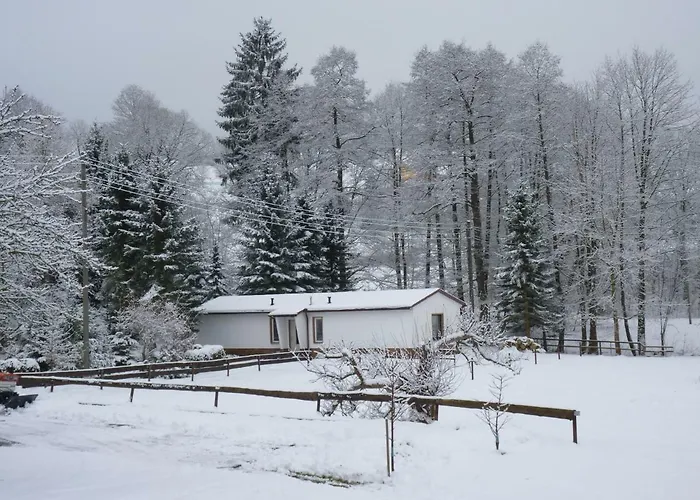 Haus Am Friedrichsbach Holiday home Pohla