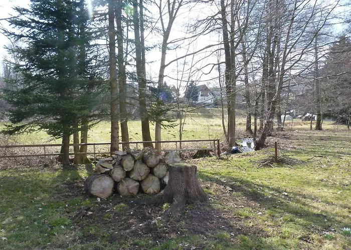 Haus Am Friedrichsbach Holiday home